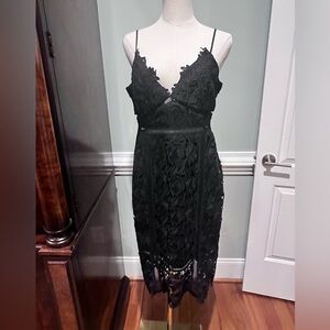 NWT Bardot Botanica Lace Dress